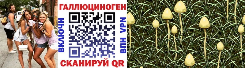 OMG рабочий сайт Родники Псилоцибиновые грибы мицелий