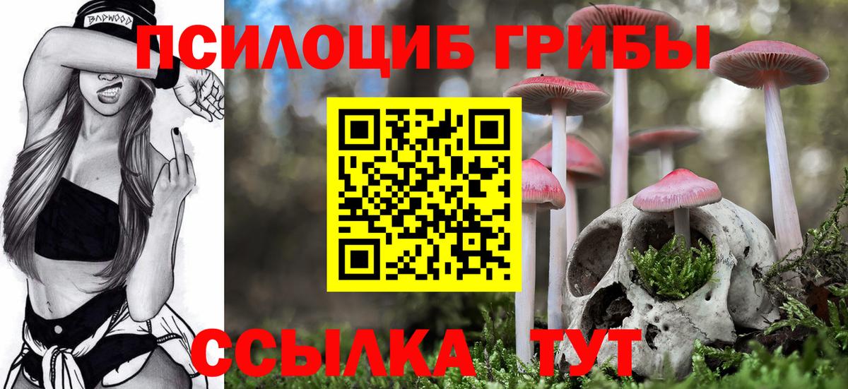 Псилоцибиновые грибы Cubensis Родники